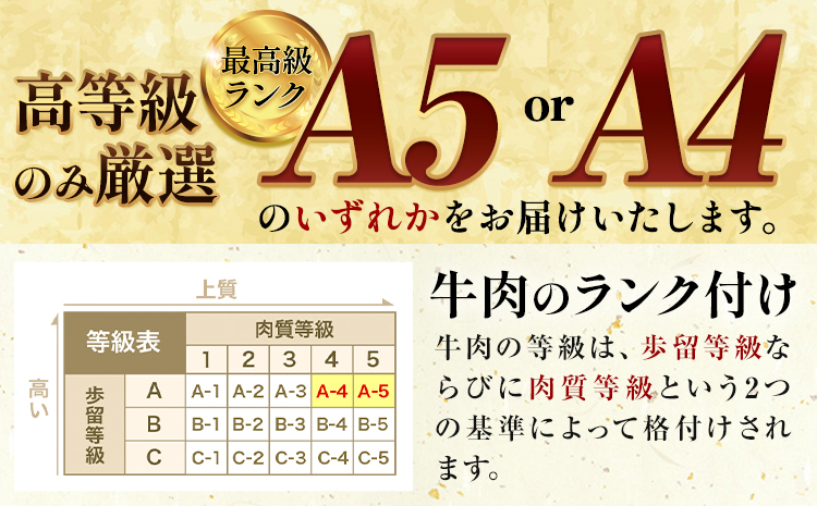 黒毛和牛 焼肉 ロース カルビ 切り落とし 500g A4 ～ A5 ランク 3ヶ月定期便 《お申込み月の翌月から出荷開始》 ランプ ミスジ イチボ 特上 ミシュラン 国産 肉 牛肉 黒牛 天草 苓北 熊本 産地直送 送料無料---ac05r605-3---