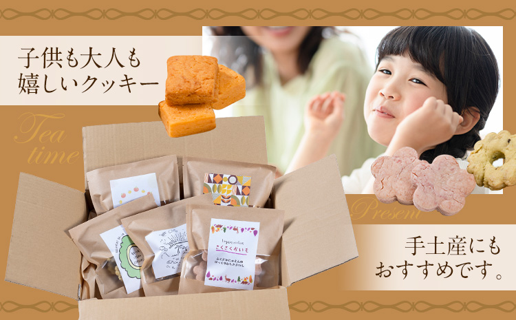 苓北 ヴィーガンクッキー 5袋 セット 洋菓子店Hana《30日以内に出荷予定(土日祝除く)》 熊本県 苓北町 送料無料 菓子 クッキー 卵 乳製品不使用 天草 熊本 送料無料 ビーガン---reihoku_yhn_1_5syu---