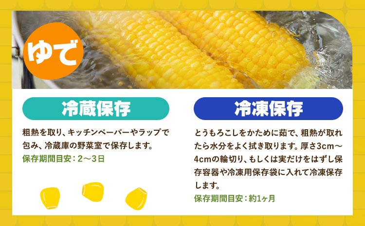 とうもろこし スイートコーン 10本 髙橋商店《2026年5月中旬-6月下旬頃出荷》熊本県 苓北町 野菜 コーン 玉蜀黍 コーンバター 焼きとうもろこし コーンスープ---reihoku_ths_6_10p---
