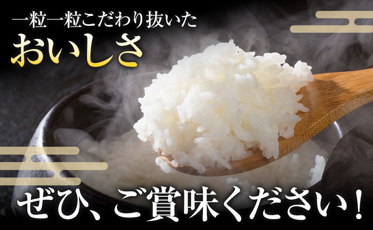 令和7年産 米 くまさんの輝き 白米 5kg 鶴地区龍の里ふるさと会《10月上旬-11月上旬頃出荷》熊本県 天草 苓北町 鶴 地区 龍 の里 国産 九州 熊本 名水 百選 5キロ 10キロ 送料無料---reihoku_trs_1_5kg---