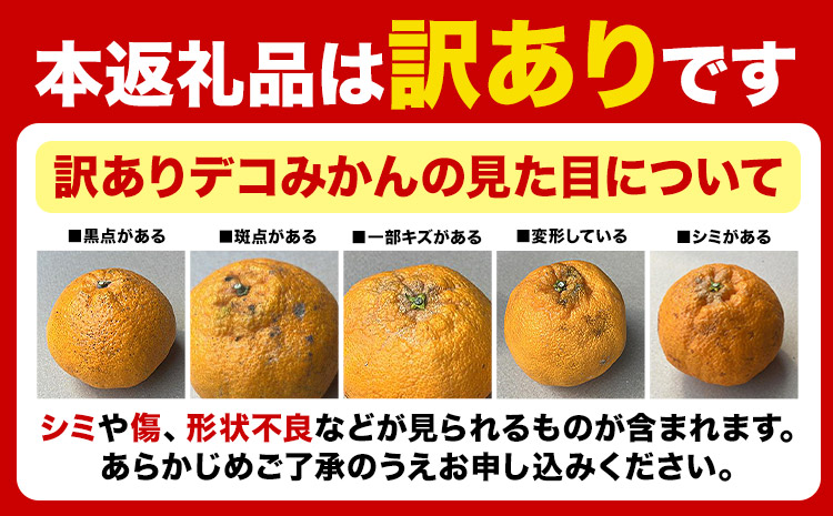 不知火 デコみかん ( デコポン と同品種 ) ご家庭用 訳あり 熊本県産 ( 苓北町産含む )約5kg (12-24玉前後) 柑橘 《2026年2月上旬-3月末頃出荷》 みかん フルーツ 不知火 訳アリ でこみかん 果物---reihoku_loc_218_5kg---
