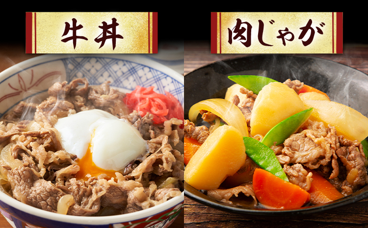 【6ヶ月定期便】 黒毛和牛 切り落とし 小分け 1kg 定期便 A4～A5ランク 田中畜産 《お申込み月の翌月から出荷開始》 熊本県 苓北町 ミシュラン ビブグルマン 国産 肉 牛肉 黒毛 和牛 赤身 カレー 肉じゃが 牛丼 生姜焼き 炒めもの 煮込み 便利 使い勝手抜群 天草 産地直送---ac01r605_3---