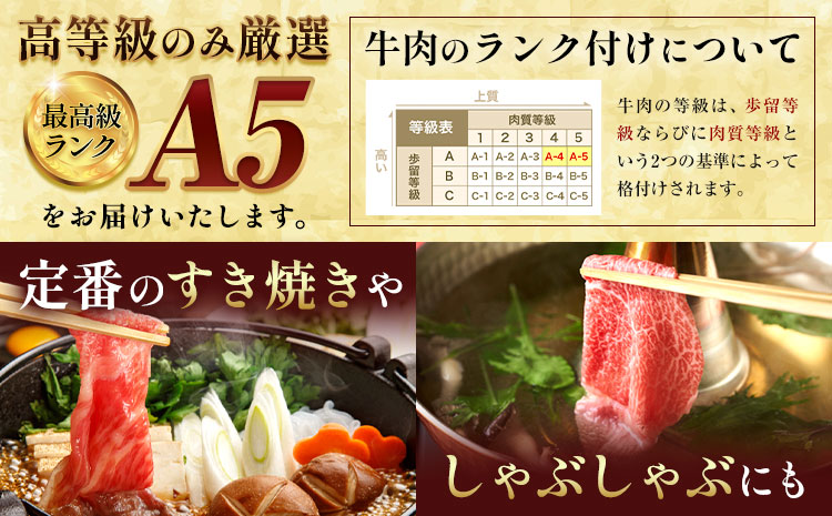【6ヶ月定期便】黒毛和牛 A5 ロース すき焼き 切り落とし 500g × 6回 計3kg すき焼きのたれ 1本付 株式会社田中畜産 《お申込み月の翌月から出荷開始》熊本県 苓北町 肉 にく お肉 おにく 牛 牛肉 和牛 ロース 切り落とし 極上 定期便---AC03R605-6---