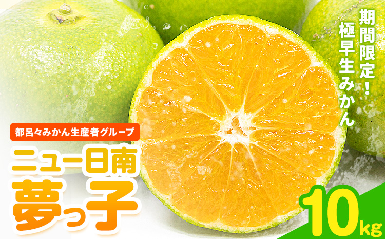 【先行予約】果物 フルーツ みかん 極早生みかん ニュー日南「夢っ子」 約10kg 都呂々みかん生産者グループ《2025年9月中旬-10月上旬出荷》 ミカン 蜜柑 柑橘 生産者直送 産地直送 天草 送料無料 熊本県 苓北町【配送不可地域あり】---reihoku_trm_6_10kg---