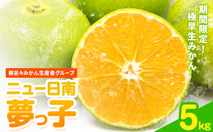 【先行予約】果物 フルーツ みかん 極早生みかん ニュー日南「夢っ子」 約5kg 都呂々みかん生産者グループ《2025年9月中旬-10月上旬頃出荷》 ミカン 蜜柑 柑橘 生産者直送 産地直送 天草 送料無料 熊本県 苓北町【配送不可地域あり】---reihoku_trm_5_5kg---