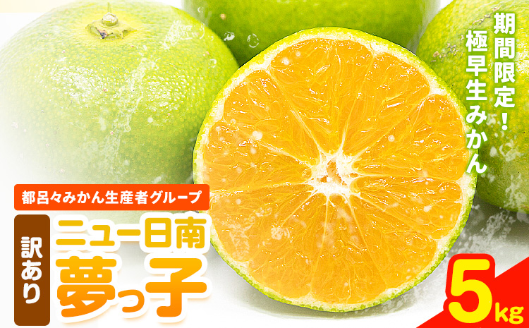 【先行予約】訳あり 果物 フルーツ みかん 極早生みかん ニュー日南「夢っ子」内容量 約5kg 都呂々みかん生産者グループ《2025年9月中旬-10月上旬頃出荷》 ミカン 蜜柑 柑橘 生産者直送 産地直送 天草 苓北 送料無料 熊本県【配送不可地域あり】---reihoku_trm_7_5kg---