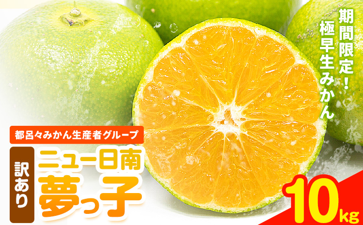 【先行予約】訳あり 果物 フルーツ みかん 極早生みかん ニュー日南「夢っ子」内容量 約10kg 都呂々みかん生産者グループ《2025年9月中旬-10月上旬頃出荷》 ミカン 蜜柑 柑橘 生産者直送 産地直送 天草 苓北 送料無料 熊本県【配送不可地域あり】---reihoku_trm_8_10kg---