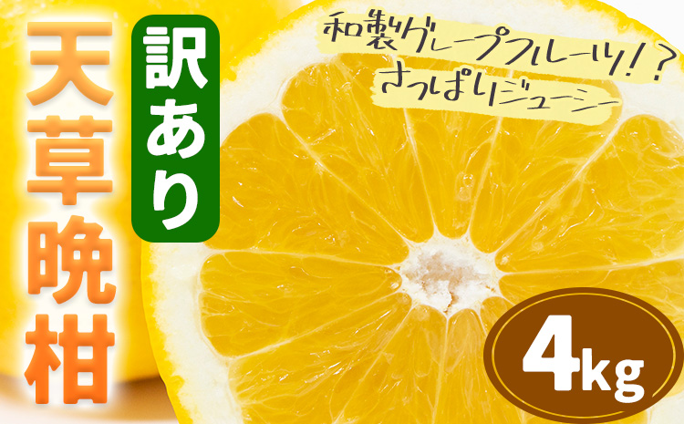 【先行予約】訳あり ご家庭用 柑橘 天草晩柑 約4㎏ あまくさ晩柑 晩柑 ばんかん 天草 西海岸 苓北 都呂々 南国 潮風 国産 九州 熊本 果物 フルーツ 送料無料 都呂々みかん生産者グループ《2026年3月上旬-5月下旬頃出荷》---reihoku_trm_3_4kg---
