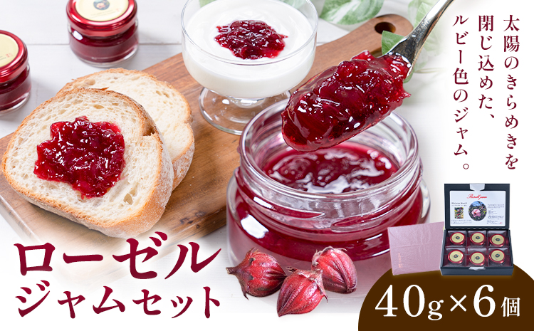ローゼルジャムセット 40g×6個 もり農園《30日以内に出荷予定(土日祝除く)》熊本県 苓北町 ジャム ローゼル ハイビスカス セット---reihoku_mrn_2_6p---