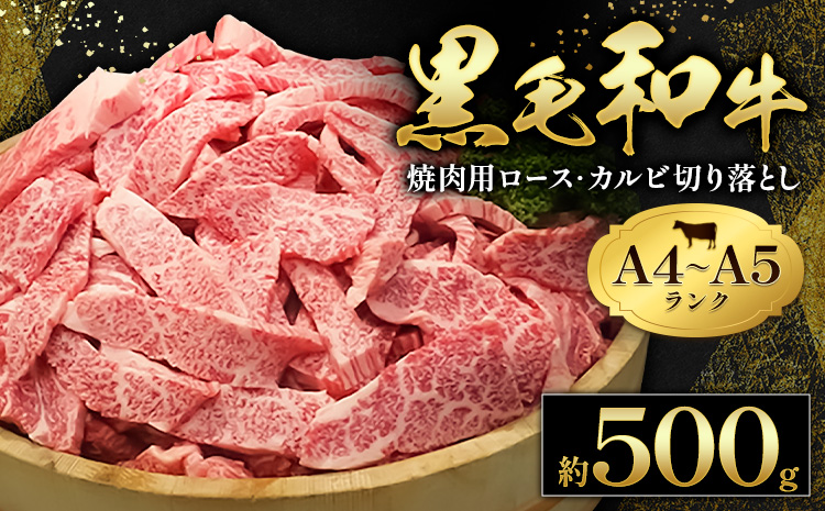 黒毛和牛 焼肉 ロース カルビ 切り落とし 500g A4 ～ A5 ランク 田中畜産《30日以内に出荷予定(土日祝除く)》 ランプ ミスジ イチボ 特上 ミシュラン 国産 肉 牛肉 黒牛 天草 苓北 熊本 産地直送 送料無料---reihoku_tnt_3_500g---