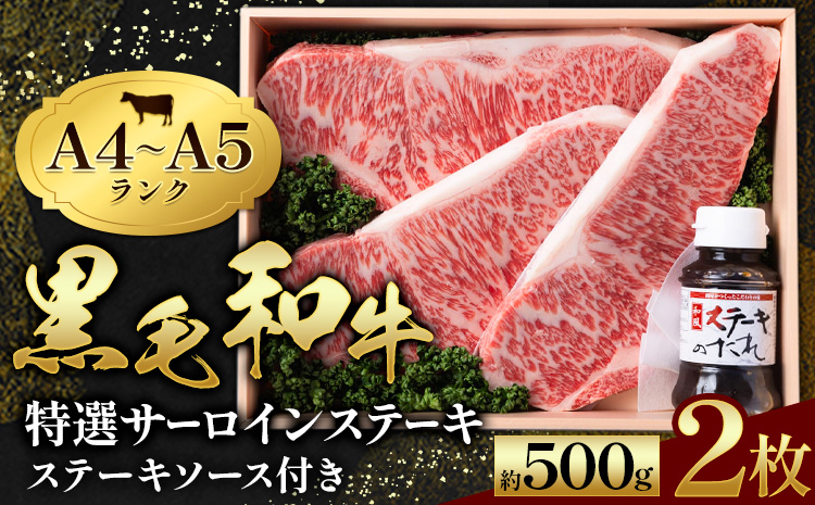 黒毛和牛 特選 サーロインステーキ 2枚入 ステーキソース 1本付 A4～A5ランク 《30日以内に出荷予定(土日祝除く)》 熊本県 苓北町 ミシュラン ビブグルマン 国産 肉 牛肉 黒牛 天草 産地直送 田中畜産---AC09R605_1---