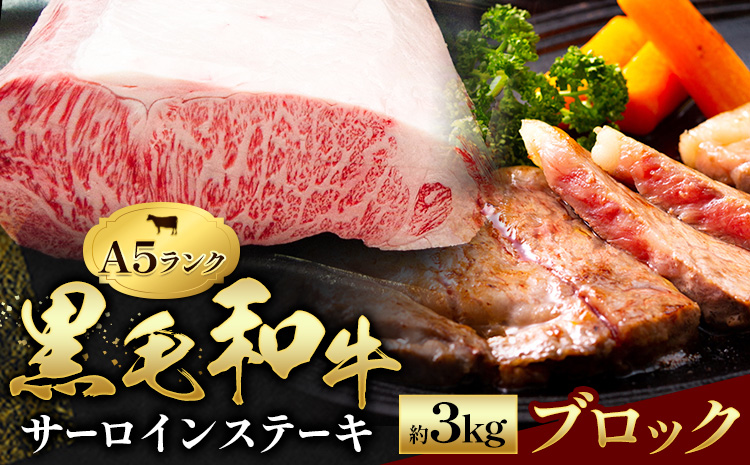 黒毛和牛 サーロイン ブロック 約3kg 田中畜産《30日以内に出荷予定(土日祝除く)》 熊本県 苓北町 A4 ～ A5 ランク 国産 肉 牛肉 ステーキ 黒牛 天草 苓北 熊本 産地直送 送料無料---reihoku_tnt_4_3kg---