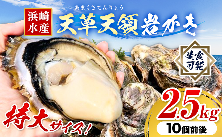 浜崎水産の天草天領岩かき 約2.5kg 《2026年4月上旬-7月末頃出荷予定》 【配送不可地域あり】 海鮮 海産物 海の幸 シーフード 魚貝類 かき 牡蠣 岩かき 岩牡蠣 夏牡蠣 生食用 生もの 濃厚 熊本県 苓北町---reihoku_hss_2_2500g---