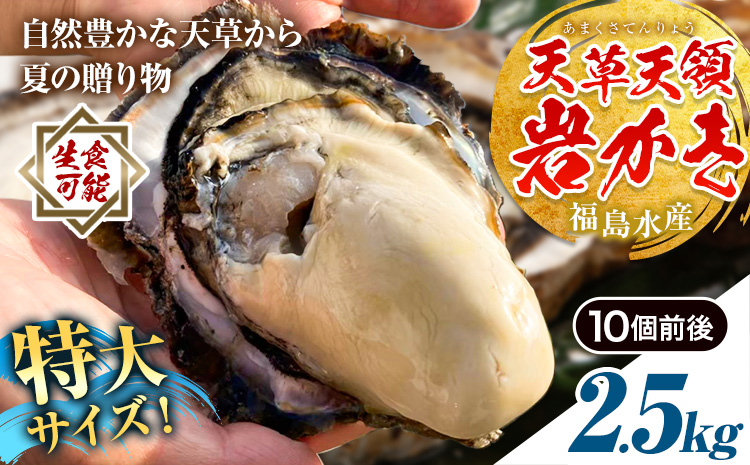 天領岩牡蠣 約2.5kg 福島水産《2026年4月上旬-7月末頃出荷予定》熊本県 苓北町 牡蠣 かき カキ 岩カキ 岩ガキ 貝 BIG ビッグ 生食 バーベキュー 夏天草 天領 苓北 熊本 旬 シーズン 送料無料【配送不可地域あり】---reihoku_hks_2_2500g---