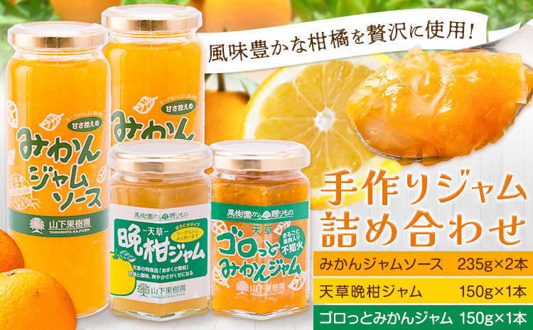 ジャム 手作り 詰め合わせ みかんジャムソース 235g×2本 天草晩柑ジャム 150g×1本 ゴロっとみかんジャム 150g×1本 計3種 計4本セット 《90日以内に出荷予定(土日祝除く)》 山下果樹園 熊本県 苓北町 送料無料 ジャム 手づくり みかん 柑橘---reihoku_ysk_2_set---
