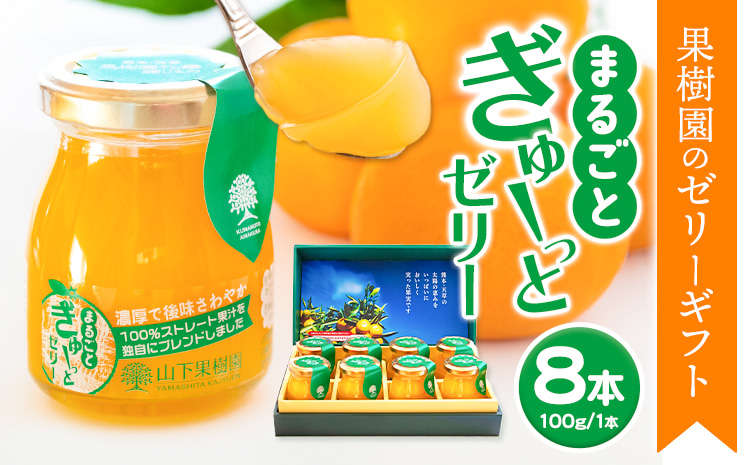 まるごとぎゅーっとゼリー 100g × 8本 | 《90日以内に出荷予定(土日祝除く)》 フルーツ 果物 くだもの ゼリー フルーツゼリー 果物ゼリー くだものゼリー みかんゼリー ミカンゼリー みかん ミカン 不知火 清見 ポンカン あまくさ晩柑 みかん ブレンド 熊本県 苓北町 株式会社 山下果樹園---reihoku_ysk_1_800g---
