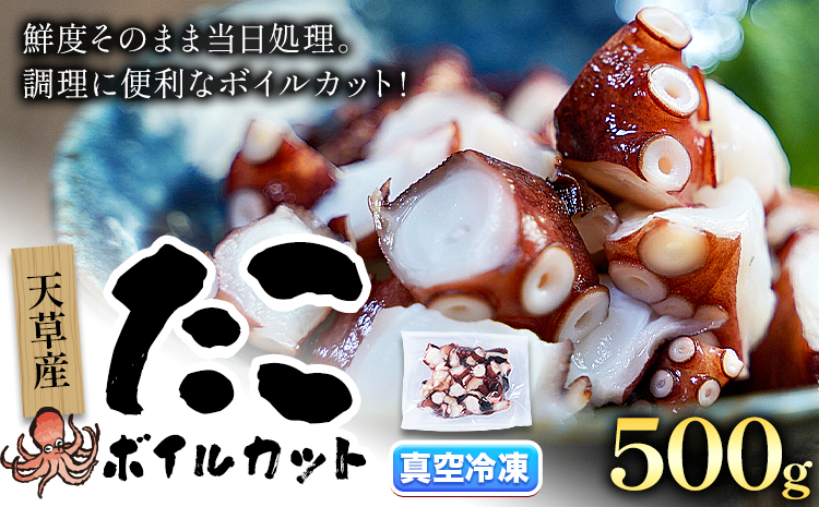 天草産 タコ ボイルカット 合計500g 高橋商店《30日以内に出荷予定(土日祝除く)》タコ 蛸 冷凍 カット済 小分けパック ボイル お刺身 たこ飯 たこ焼き ぶたあえ タコパ 唐揚げ 酢の物 国産 天草 苓北 熊本 送料無料【配送不可地域あり】---j01r605---