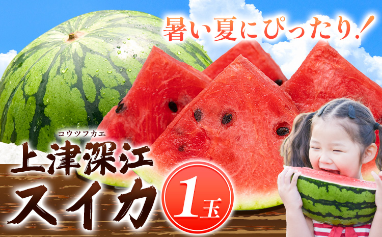 【先行予約】天草産上津深江 スイカ 1玉 髙橋商店 《2026年6月末-8月中旬頃出荷》熊本県 苓北町 フルーツ 果物 くだもの スイカ すいか 西瓜 盆すいか 上津深江スイカ---reihoku_ths_13_1p---