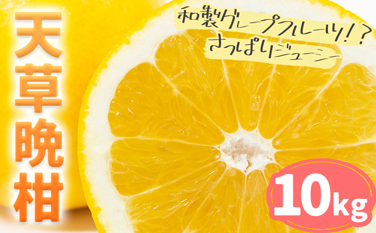 【先行予約】柑橘 天草晩柑 約 10kg あまくさ晩柑 晩柑 ばんかん 天草 西海岸 苓北 都呂々 南国 潮風 国産 九州 熊本 果物 フルーツ １０キロ 送料無料《2026年3月上旬-5月下旬頃出荷予定》---reihoku_trm_2_10kg---