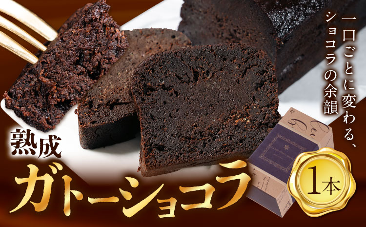 菓子 ケーキ ガトーショコラ 1本 洋菓子店Hana《30日以内に出荷予定(土日祝除く)》 熊本県 苓北町 チョコレートケーキ 天草 苓北 熊本 送料無料---reihoku_yhn_2_1p---