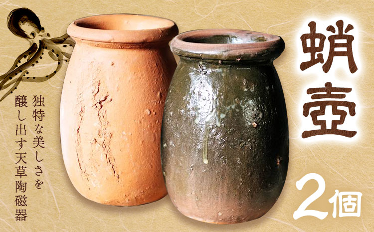 インテリア 蛸壺 有限会社 木山陶石鉱業所《30日以内に出荷予定(土日祝除く)》植木鉢 花瓶 和室 窯元 西海岸 陶器市 陶磁器展 花壇 庭 新築祝い 天草 苓北 熊本 送料無料---reihoku_kyt_2_2p---