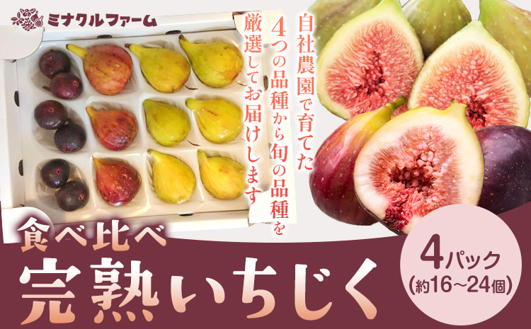 天草 完熟 いちじく  食べ比べ ミナクルファーム《2026年8月中旬-9月末頃出荷》 南蛮柿 フルーツ 果物 果実 スイーツ 食物繊維 ミネラル 豊富 健康食材 製菓 熊本  天草 苓北　ドーフィン バナーネ ブルジャ ネグローネ 送料無料---reihoku_mkf_1_4p---