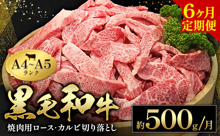 黒毛和牛 焼肉 ロース カルビ 切り落とし 500g 6ヶ月定期便 A4 ～ A5 ランク 《お申込み月の翌月から出荷開始》 ランプ ミスジ イチボ 特上 ミシュラン 国産 肉 牛肉 黒牛 天草 苓北 熊本 産地直送 送料無料---ac05r605-6---