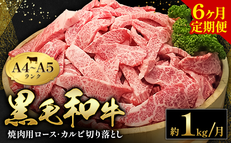 黒毛和牛 焼肉 ロース カルビ 切り落とし 1kg A4 ～ A5 ランク 6ヶ月定期便 田中畜産《お申込み月の翌月から出荷開始》ランプ ミスジ イチボ 特上 ミシュラン 国産 肉 牛肉 黒牛 天草 苓北 熊本 産地直送 送料無料---ac04r605-6---