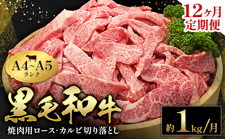 黒毛和牛 焼肉 ロース カルビ 切り落とし 1kg A4 ～ A5 ランク 12ヶ月定期便 田中畜産《お申込み月の翌月から出荷開始》ミスジ イチボ 特上 ミシュラン 国産 肉 牛肉 黒牛 天草 苓北 熊本 産地直送 送料無料---ac04r605-12---