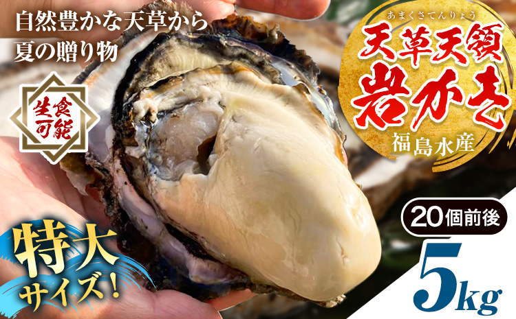 天領岩牡蠣 約5kg 福島水産《2026年4月上旬-7月末頃出荷予定》熊本県 苓北町 牡蠣 かき カキ 岩カキ 岩ガキ 貝 BIG ビッグ 生食 バーベキュー 夏天草 天領 苓北 熊本 旬 シーズン 送料無料【配送不可地域あり】---reihoku_hks_3_5000g---