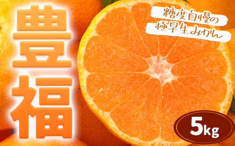 【先行予約】果物 フルーツ みかん 極早生みかん 豊福 約5kg 都呂々みかん生産者グループ《2025年10月中旬-11月下旬頃出荷》 ミカン 蜜柑 柑橘 生産者直送 産地直送 天草 苓北 送料無料 熊本県【配送不可地域あり】---reihoku_trm_9_5kg---