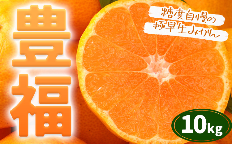 【先行予約】果物 フルーツ みかん 極早生みかん 豊福 約10kg 都呂々みかん生産者グループ《2025年10月中旬-11月下旬頃出荷》 ミカン 蜜柑 柑橘 生産者直送 産地直送 天草 苓北 送料無料 熊本県【配送不可地域あり】---reihoku_trm_10_10kg---