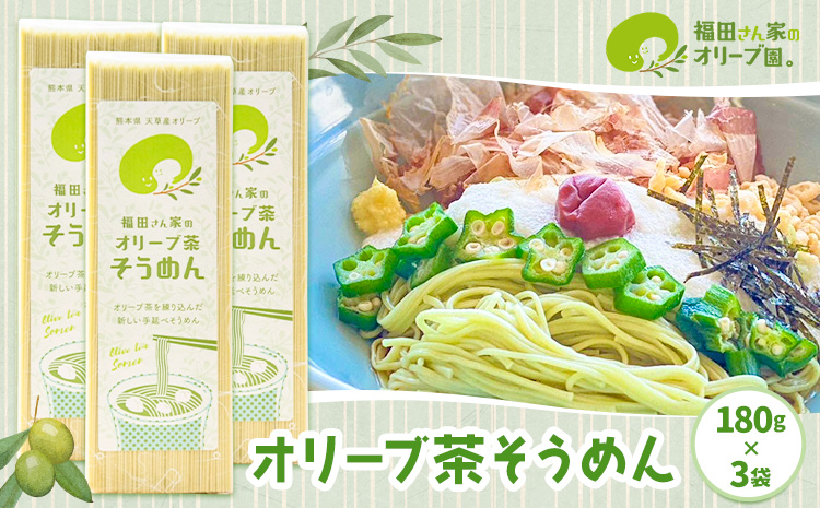 オリーブ 茶 そうめん 3袋 セット 福田さん家のオリーブ園。《30日以内に出荷予定(土日祝除く)》手延べ 麺  農薬 不使用 乳酸菌 天草 苓北 熊本 送料無料 ---reihoku_hdo_4_3p---