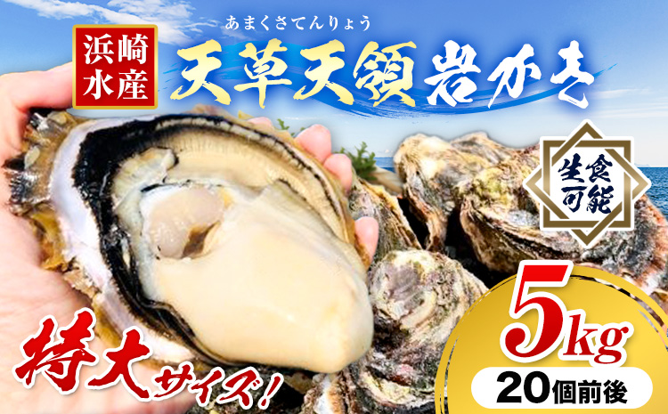 浜崎水産の天草天領岩かき 約5kg 《2026年4月上旬-7月末頃出荷予定》 【配送不可地域あり】 海鮮 海産物 海の幸 シーフード 魚貝類 かき 牡蠣 岩かき 岩牡蠣 夏牡蠣 生食用 生もの 濃厚 熊本県 苓北町---reihoku_hss_3_5000g---
