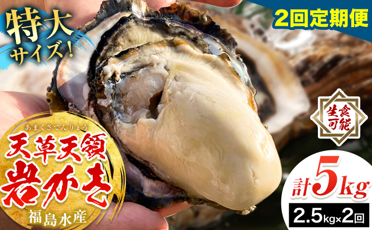 天領岩牡蠣 約2.5kg 2回 定期便 福島水産《2026年5月から出荷》熊本県 苓北町 牡蠣 かき カキ 岩カキ 岩ガキ 貝 BIG ビッグ 生食 バーベキュー 夏天草 天領 苓北 熊本 旬 シーズン 送料無料【配送不可地域あり】 ---reihoku_hks_5_2500gmo2---