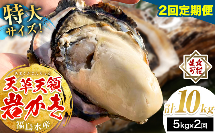 天領岩牡蠣 約5kg 2回 定期便 福島水産《2026年5月から出荷》熊本県 苓北町 牡蠣 かき カキ 岩カキ 岩ガキ 貝 BIG ビッグ 生食 バーベキュー 夏天草 天領 苓北 熊本 旬 シーズン 送料無料【配送不可地域あり】 ---reihoku_hks_6_5000gmo2---