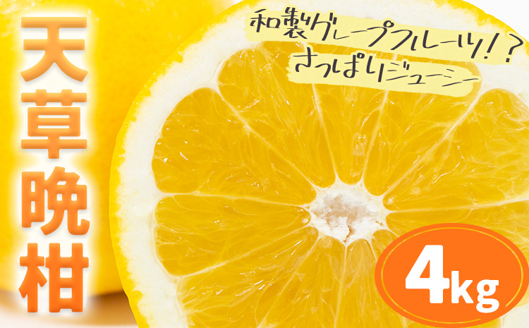 【先行予約】柑橘 天草晩柑 約4kg あまくさ晩柑 晩柑 ばんかん 天草 西海岸 苓北 都呂々 南国 潮風 国産 九州 熊本 果物 フルーツ 送料無料《2026年3月上旬-5月下旬頃出荷予定》---reihoku_trm_1_4kg---