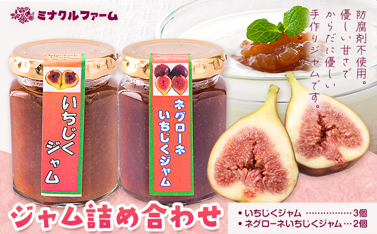 いちじくジャム詰め合わせ 5個セット いちじくジャム3個 ネグローネイチジクジャム2個 ミナクルファーム《30日以内に出荷予定(土日祝除く)》 熊本県 苓北町---reihoku_mkf_2_set---