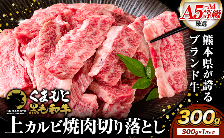 A4-A5等級 黒毛和牛 切り落とし 上 カルビ 焼肉 切り落とし 300g《30日以内に出荷予定(土日祝除く)》くまもと黒毛和牛 熊本県 苓北町 上カルビ 焼肉用 黒毛和牛 焼肉 肉 お肉 和牛 A5 A4 小分け---reihoku_loc_8_300g---