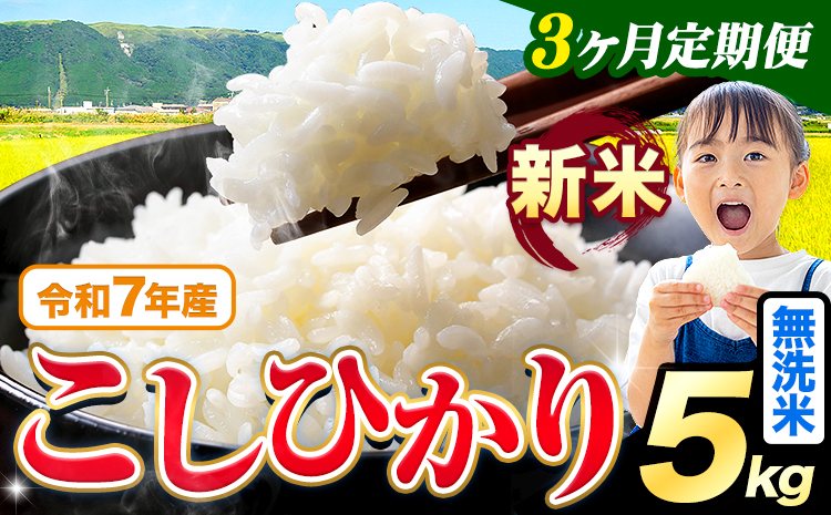 【3ヶ月定期便】令和7年産 新米 無洗米 こしひかり 5kg《お申込み翌月から出荷》熊本県産 ふるさと納税 無洗米 ひの 米 こめ ふるさとのうぜい コシヒカリ コメ お米 おこめ---reihoku_loc_320_mo3---