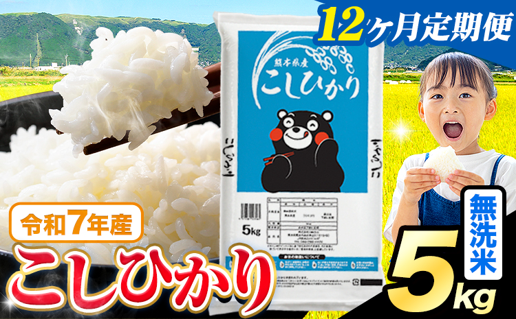 【12ヶ月定期便】令和7年産 米 無洗米 こしひかり 5kg《お申込み翌月から出荷》熊本県産 ふるさと納税 無洗米 ひの 米 こめ ふるさとのうぜい コシヒカリ コメ お米 おこめ---reihoku_loc_616_mo12---