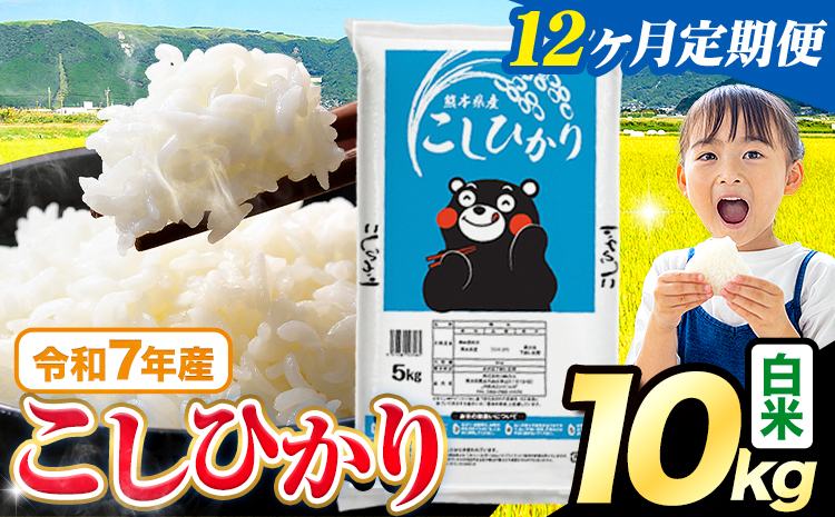 【12ヶ月定期便】令和7年産 米 白米 こしひかり 10kg《お申込み翌月から出荷》熊本県産 ふるさと納税 白米 精米 ひの 米 こめ ふるさとのうぜい コシヒカリ コメ お米 おこめ---reihoku_loc_617_mo12---