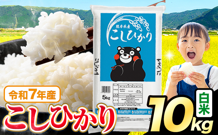 令和7年産 米 白米 こしひかり 10kg《7-14日以内に出荷予定(土日祝除く)》熊本県産 ふるさと納税 白米 精米 ひの 米 こめ ふるさとのうぜい コシヒカリ コメ お米 おこめ---reihoku_loc_581_10kg---