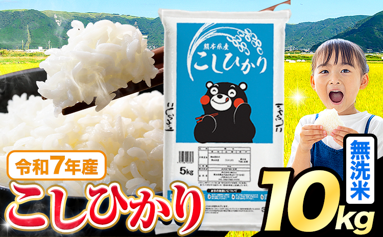 令和7年産 米 無洗米 こしひかり 10kg《7-14日以内に出荷予定(土日祝除く)》熊本県産 ふるさと納税 無洗米 ひの 米 こめ ふるさとのうぜい コシヒカリ コメ お米 おこめ---reihoku_loc_582_10kg---