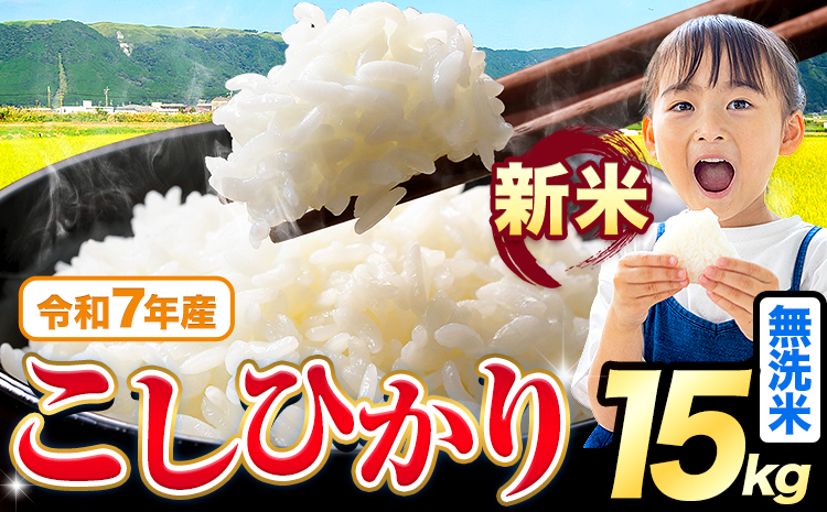 令和7年産 新米 無洗米 こしひかり 15kg《7-14日以内に出荷予定(土日祝除く)》熊本県産 ふるさと納税 無洗米 ひの 米 こめ ふるさとのうぜい コシヒカリ コメ お米 おこめ---reihoku_loc_298_15kg---