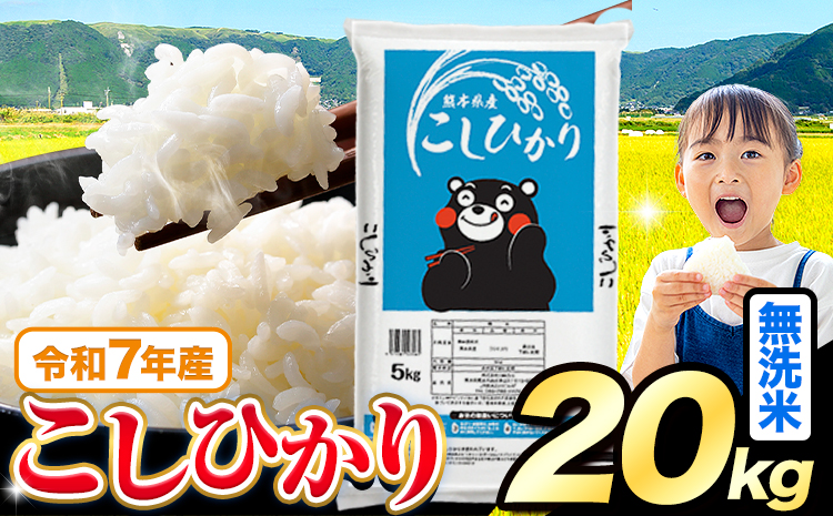 令和7年産 米 無洗米 こしひかり 20kg《7-14日以内に出荷予定(土日祝除く)》熊本県産 ふるさと納税 無洗米 ひの 米 こめ ふるさとのうぜい コシヒカリ コメ お米 おこめ---reihoku_loc_584_20kg---