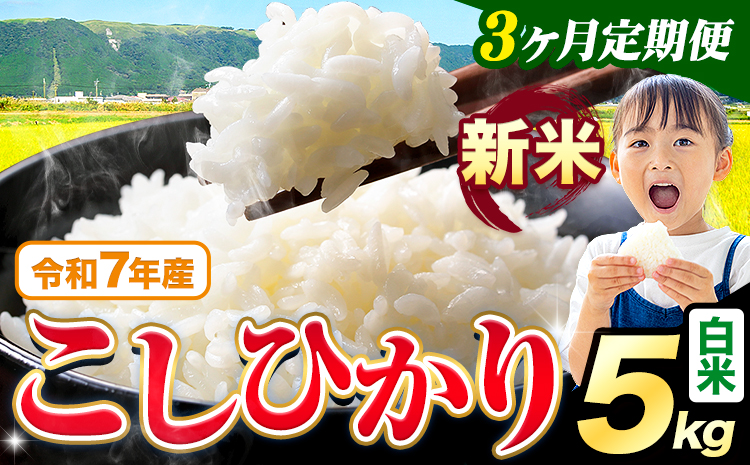 【3ヶ月定期便】令和7年産 新米 白米 こしひかり 5kg《お申込み翌月から出荷》熊本県産 ふるさと納税 白米 精米 ひの 米 こめ ふるさとのうぜい コシヒカリ コメ お米 おこめ---reihoku_loc_316_mo3---