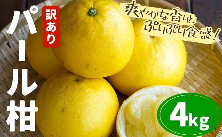 【先行予約】訳あり パール柑 約4kg 都呂々みかん生産者グループ《2026年3月上旬-4月中旬頃出荷予定》熊本県 苓北町 みかん 果物 フルーツ---reihoku_trm_19_4kg---