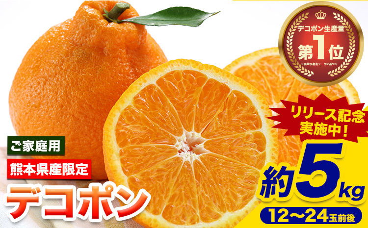 【先行予約】 デコポン ご家庭用 デコポン 約5kg 前後 (約12-24玉前後) 糖度13度以上 訳あり デコポン 《2026年2月上旬-4月末頃出荷》 個別光センサー選果 みかん 柑橘 フルーツ 旬 不知火 でこぽん 期間限定 厳選---reihoku_loc_15_5kg---