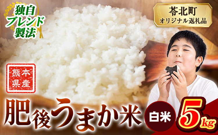 米 熊本県産 肥後うまか米 5kg 熊本県産 ふるさと納税 白米 精米 こめ ふるさとのうぜい コメ お米 おこめ ブレンド米《7-14日以内に出荷予定(土日祝除く)》---reihoku_loc_220_5kg---